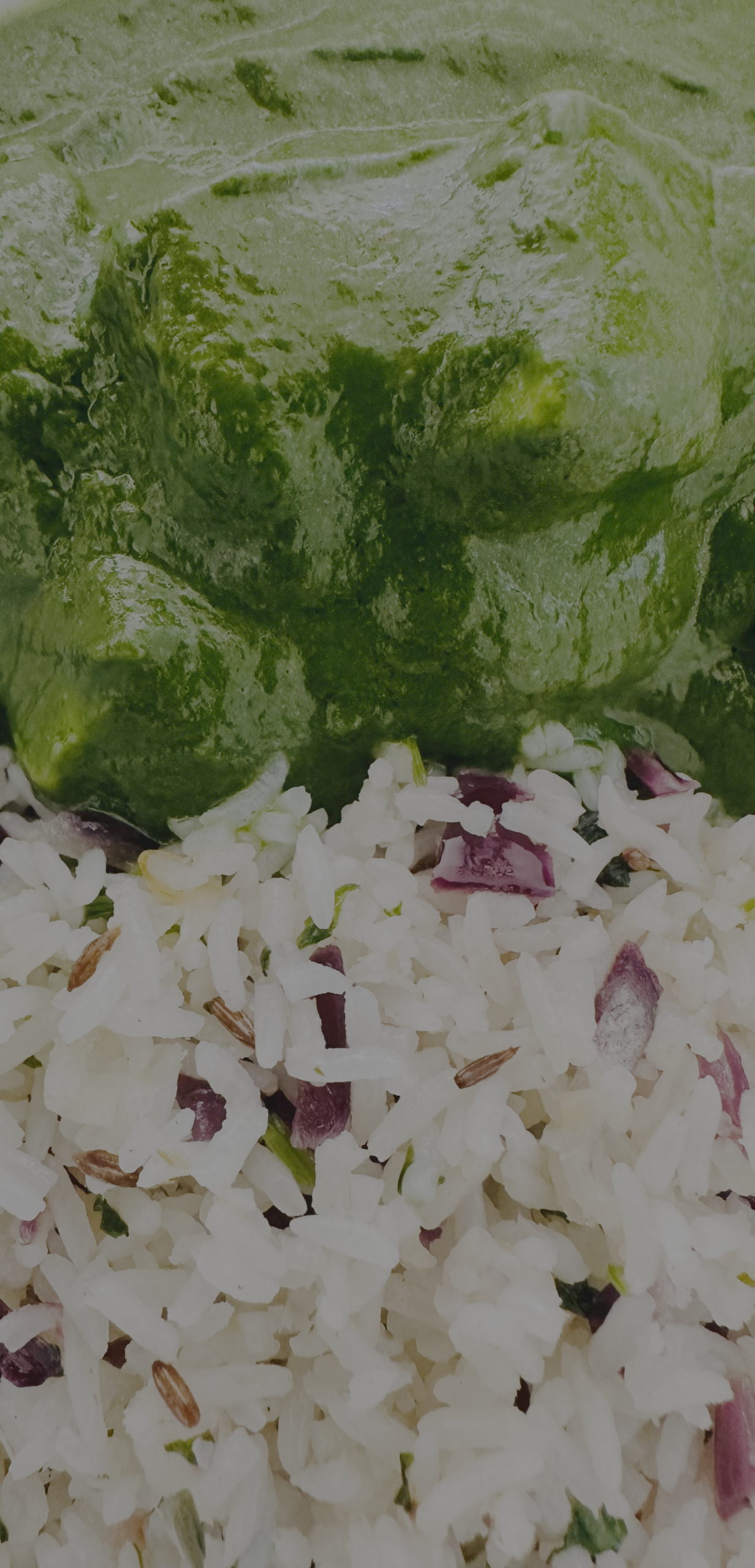 Palak Paneer Recipe